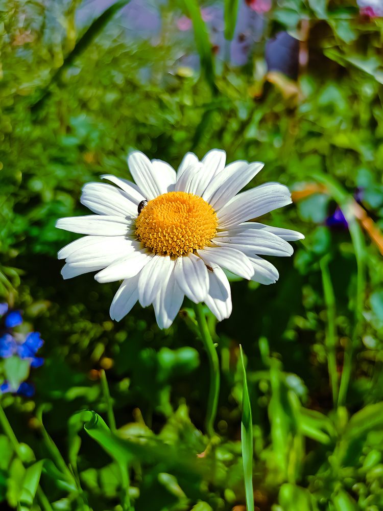 Photograph by Сергей Таранов