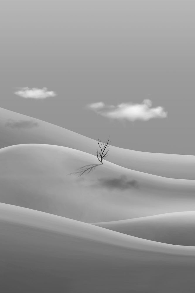 Фотография автора mehrdad Alizadeh