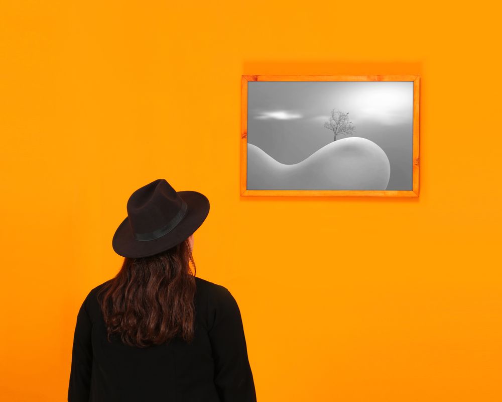 Фотография автора mehrdad Alizadeh