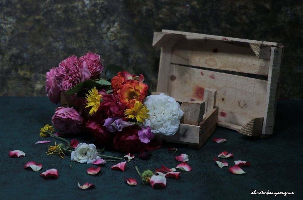 Photograph by ahmet erkan yavuzcan