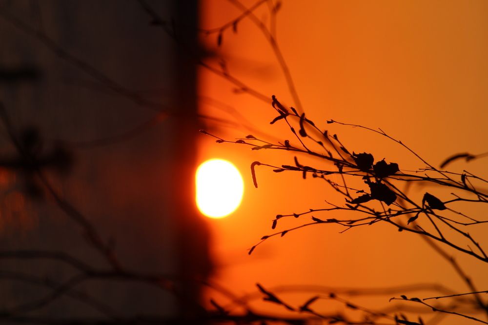 Photograph by Татьяна Казакова