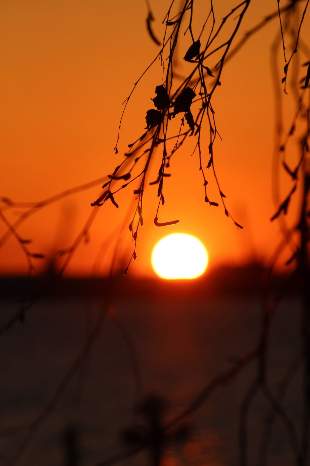 Photo #6225165