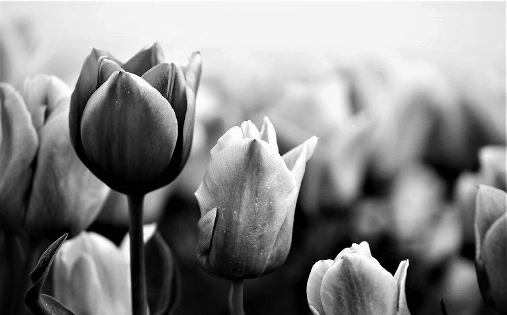 Photograph by ahmet erkan yavuzcan