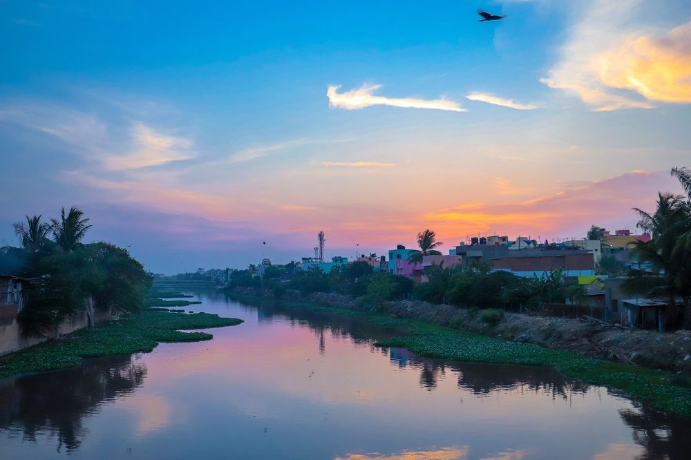 Photograph by John britto