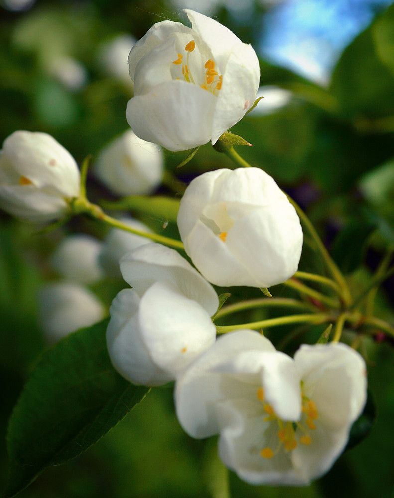 Photograph by Юлия Сурикова