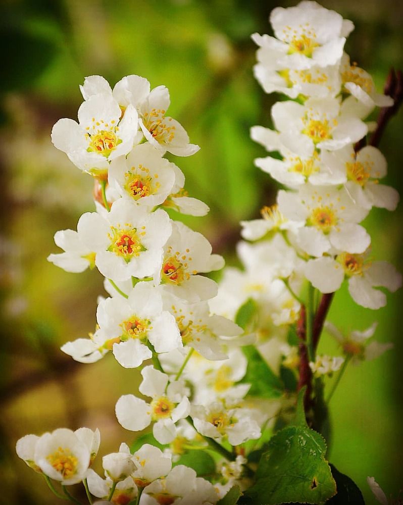 Photograph by Юлия Сурикова