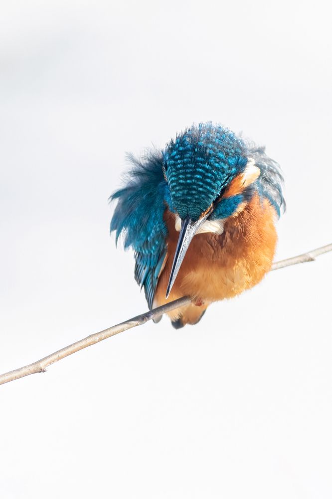 Photograph by Arjan de Heer