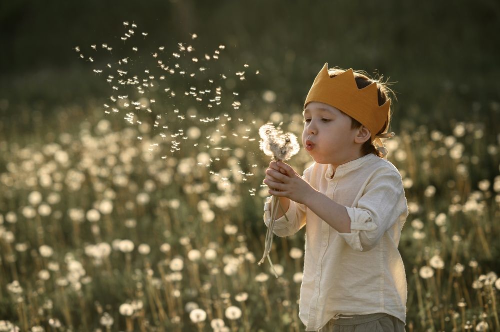 Photograph by Надежда Кошелева