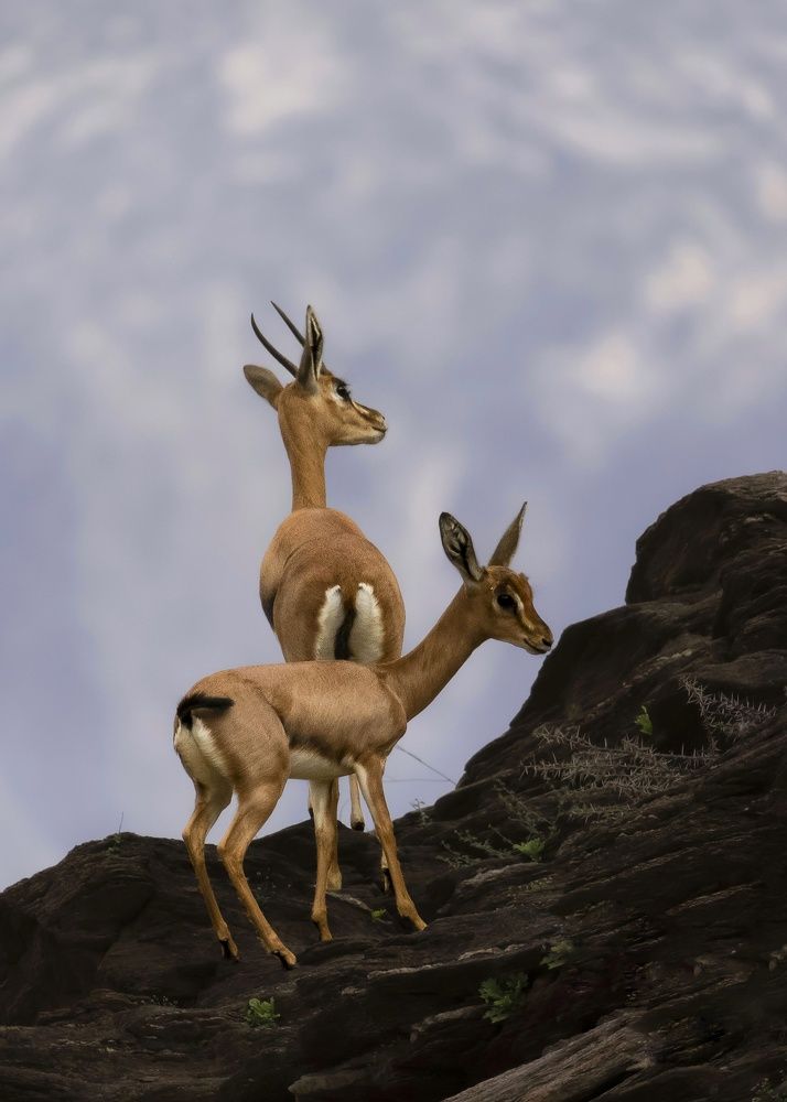 Photograph by SREEJITH KARIMBIL