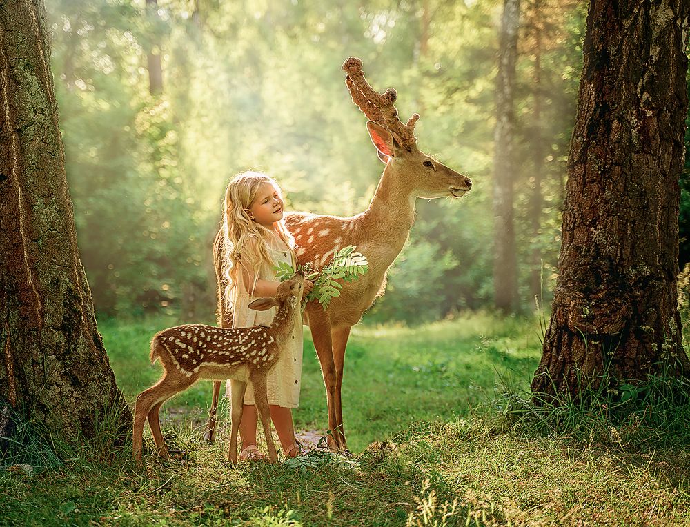 Photograph by svetlana Teteryatnik