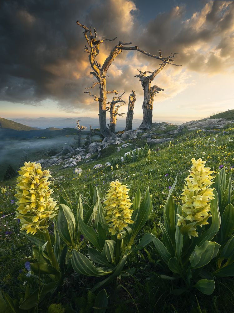 Photograph by Roksolyana Hilevych