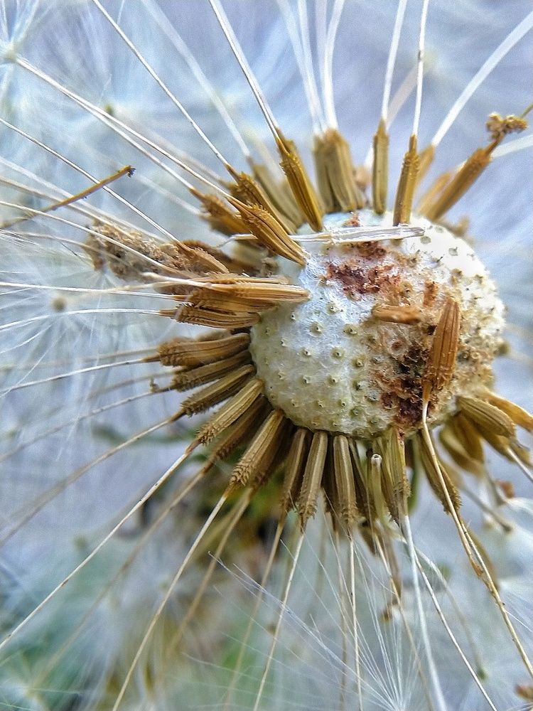 Photograph by Наталья Соловьева