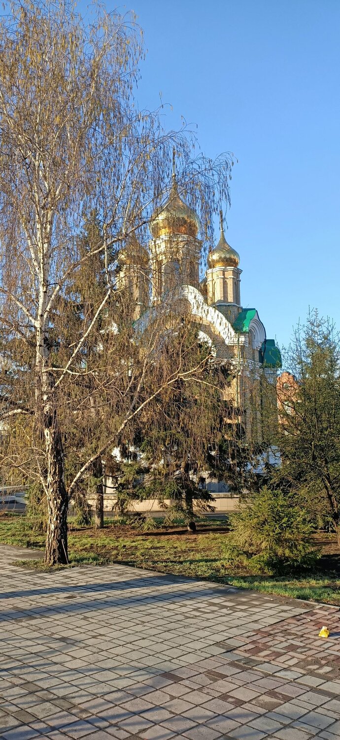 Photo #6225587