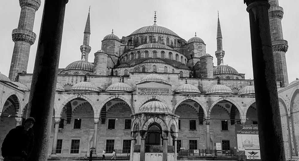 Photograph by samaneh jamali