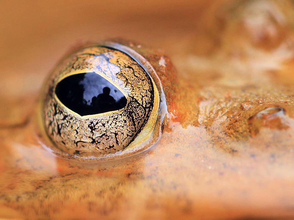 Photograph by bhaskar burman