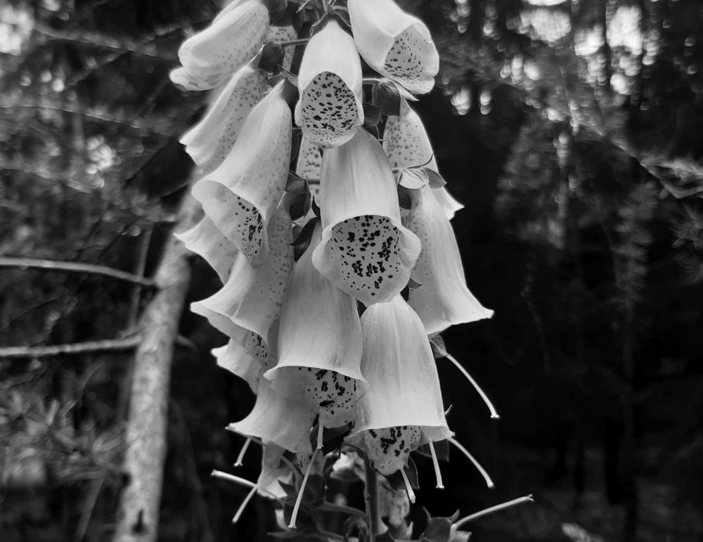 Photo #6225708