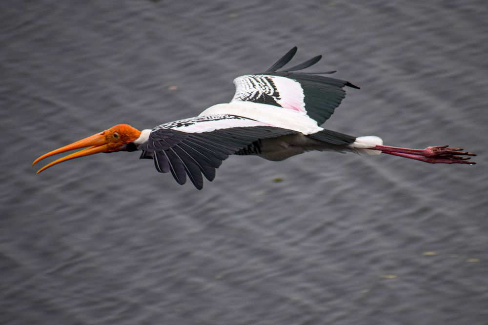 Photograph by Keerthi Hepziba