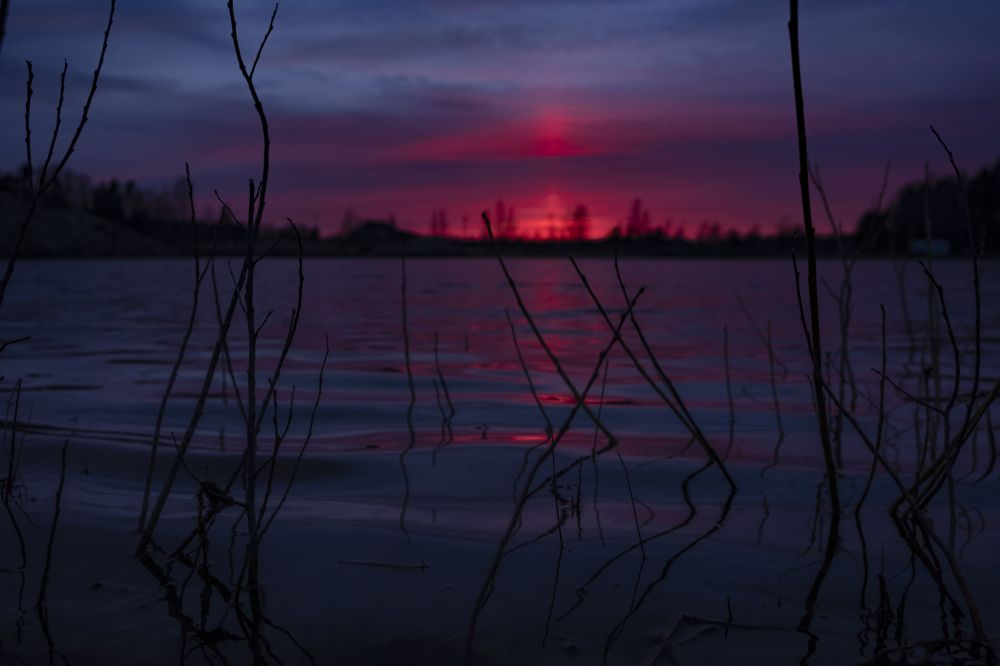 Photograph by Sandra