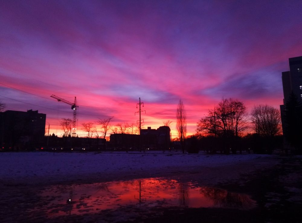 Photograph by Ирина Мозговая