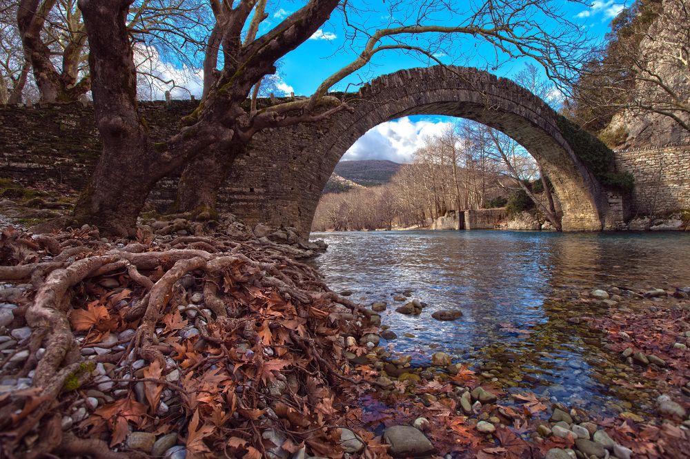 Фотография автора Людмила Прокофьева