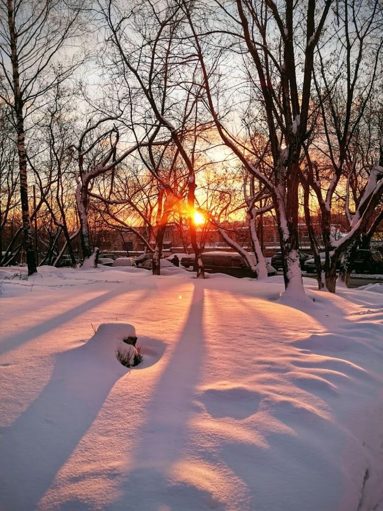 Photograph by Дмитрий Седых