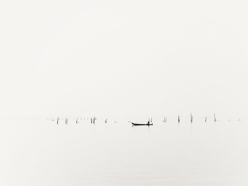 Photograph by Griffin Jose