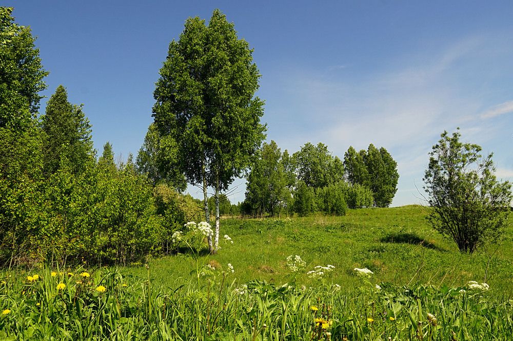 Photograph by Кан Галина