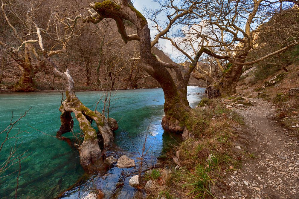 Фотография автора Людмила Прокофьева