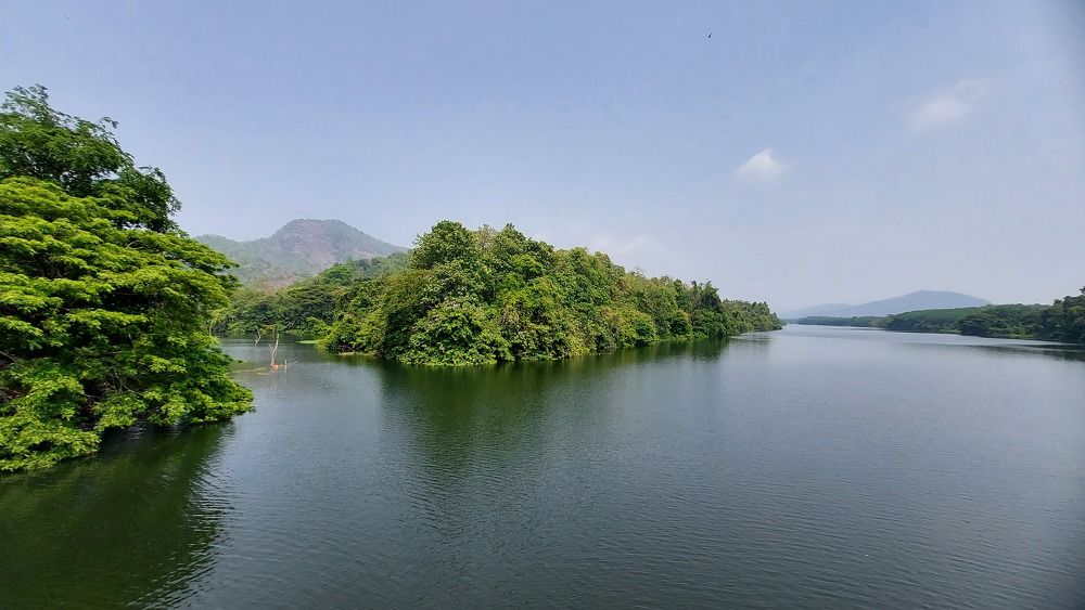 Photograph by Griffin Jose