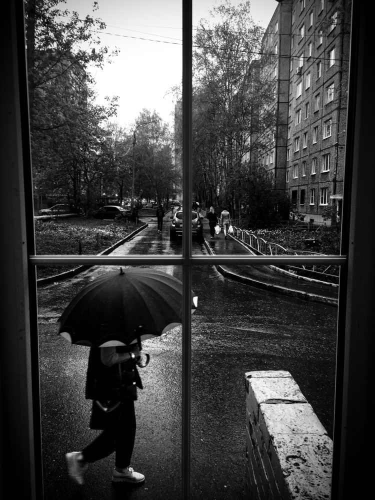 Photograph by Алексей Попов