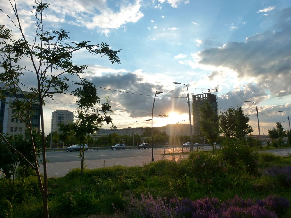 Photo #6225918