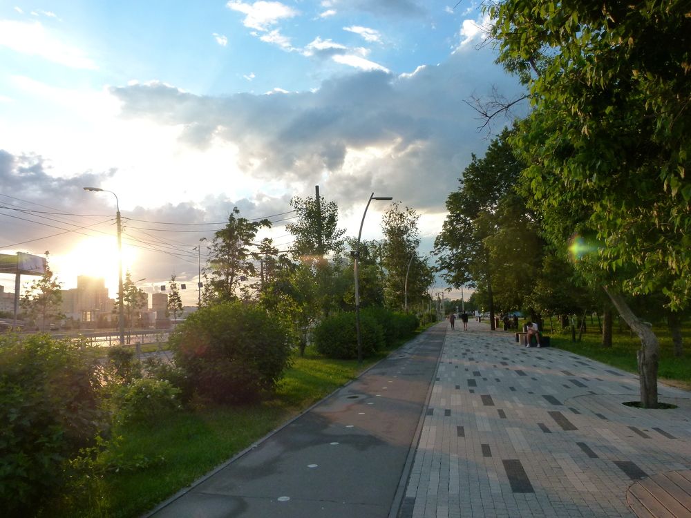 Photo #6225944