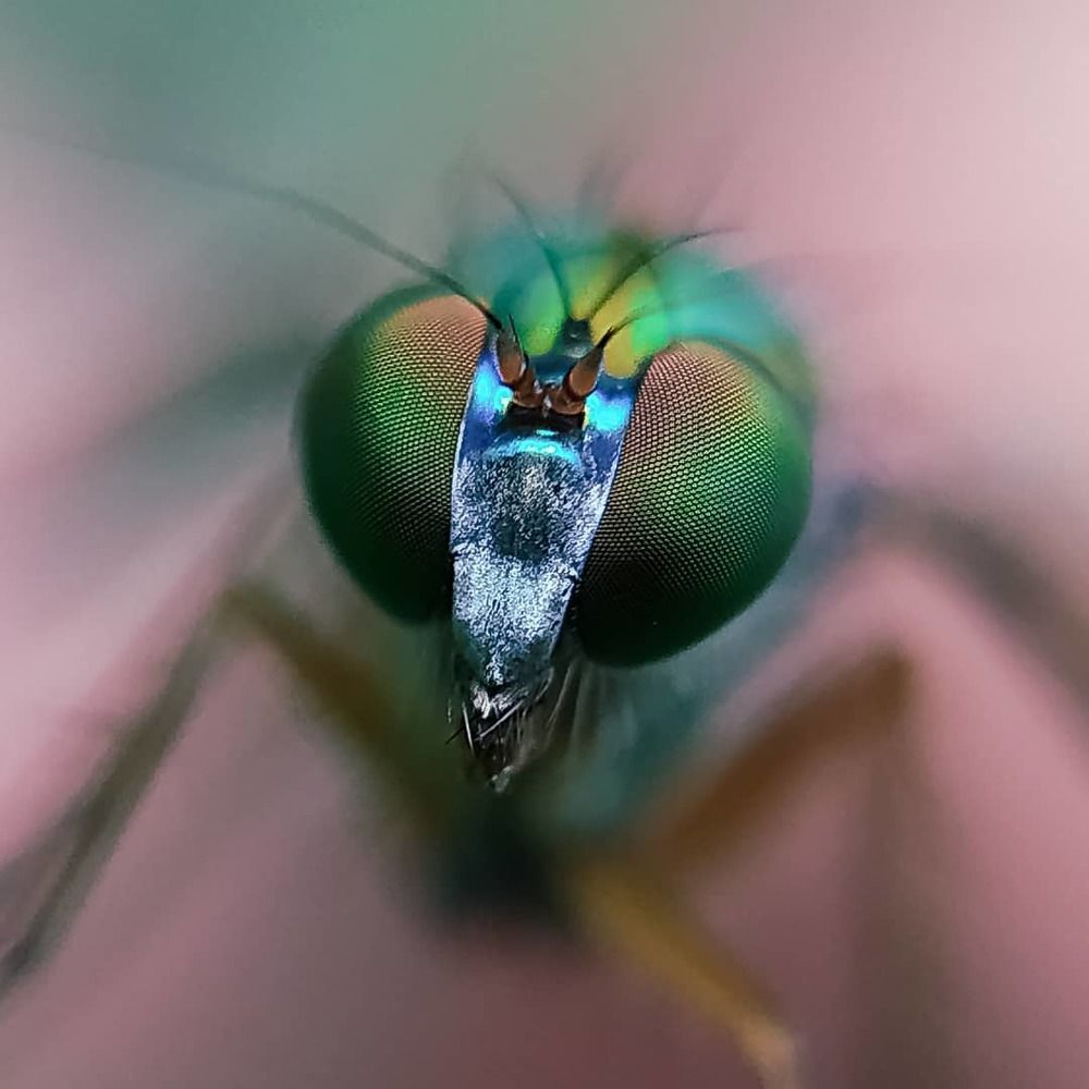 Photograph by Sreeraj S nair