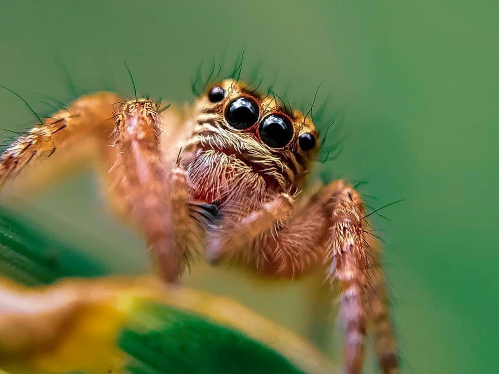 Photograph by Sreeraj S nair