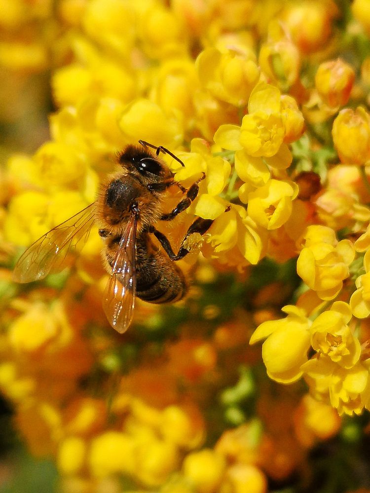 Photograph by Нина Колпакова