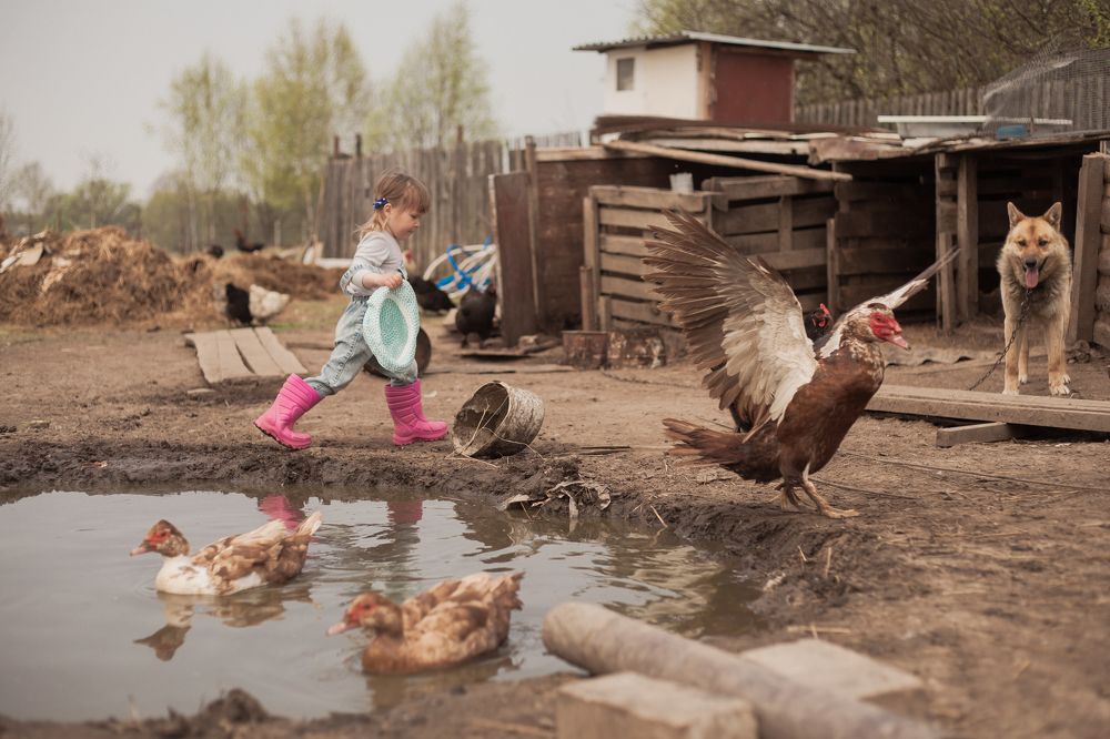 Photograph by Юлия Мельникова