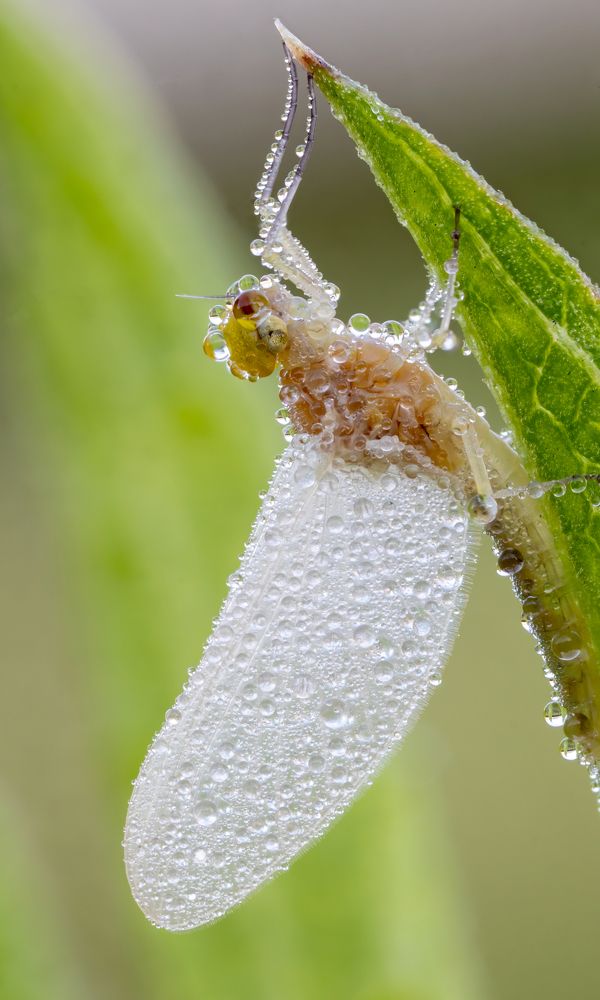 Photograph by Глеб Коровко