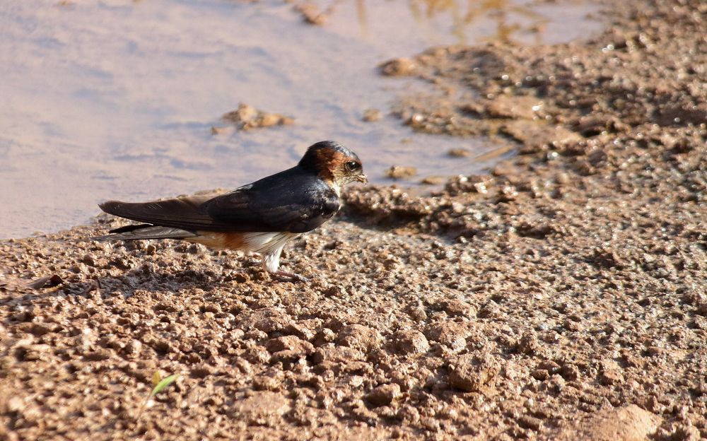Photograph by Sudhakaran K K