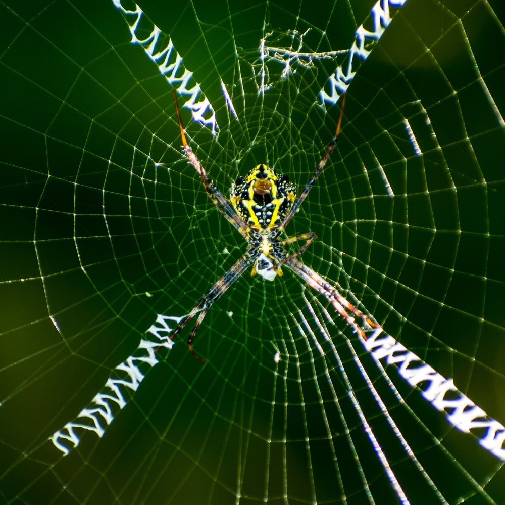 Photograph by Harkesh Kumar