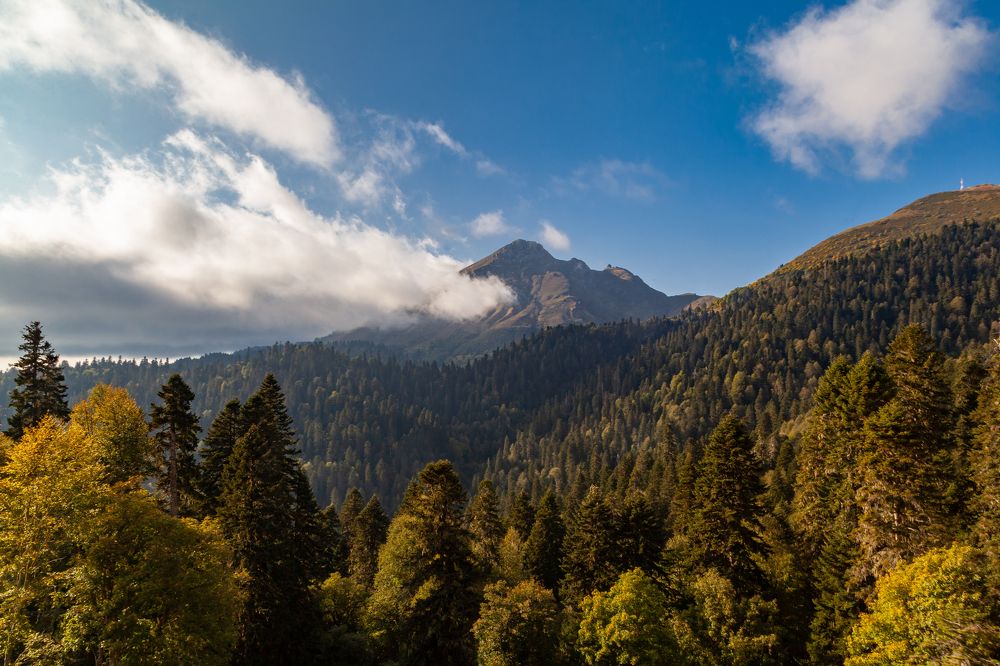 Фотография автора Анатолий Гарин