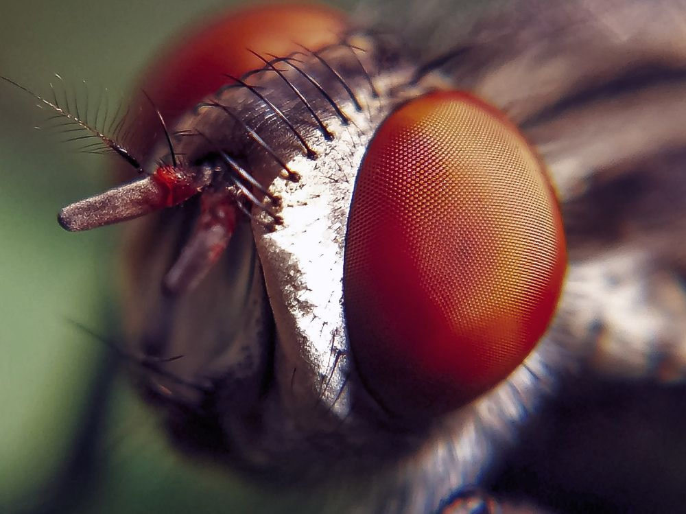 Photograph by Sreeraj S nair