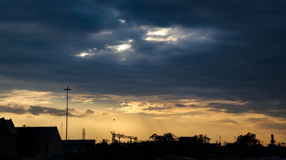 Photograph by John britto