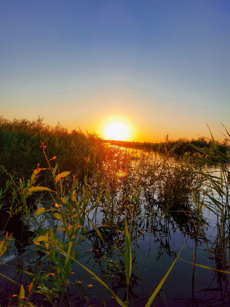 Photograph by Татьяна Бушук