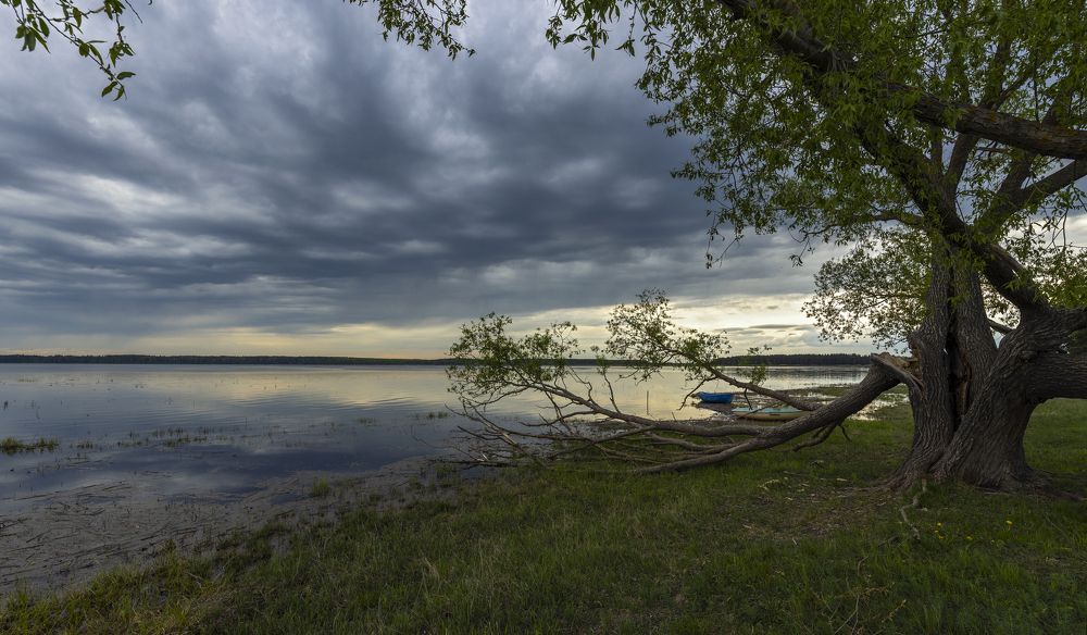 Photograph by Сергей