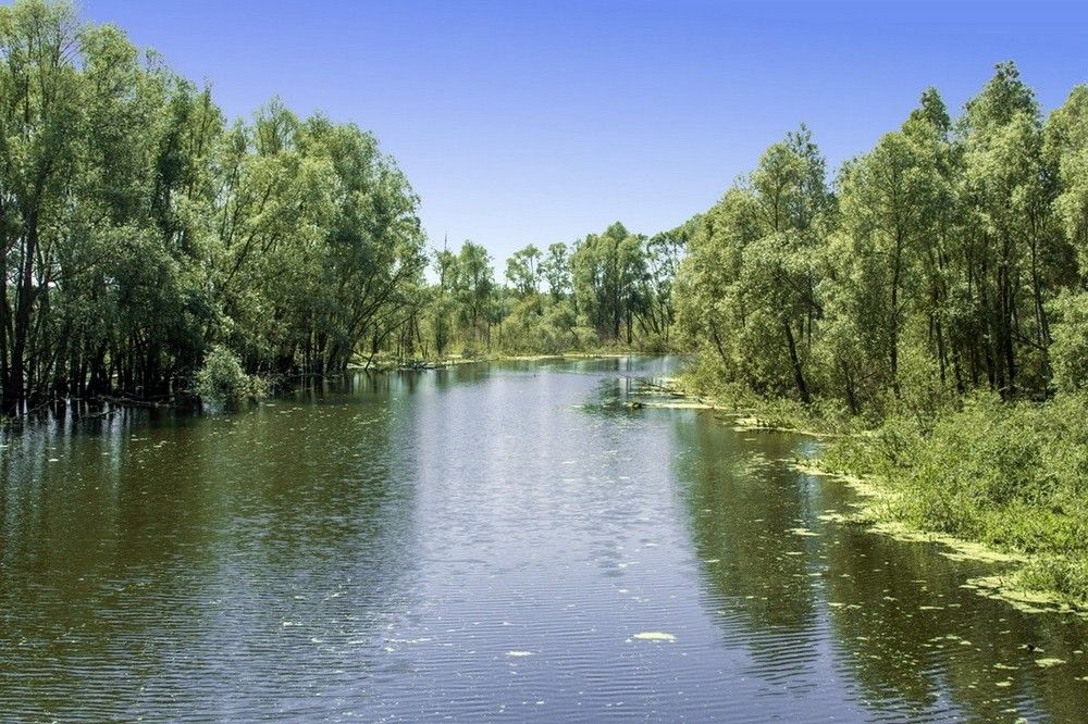 Река Кисмесь  Татарстан Арский район