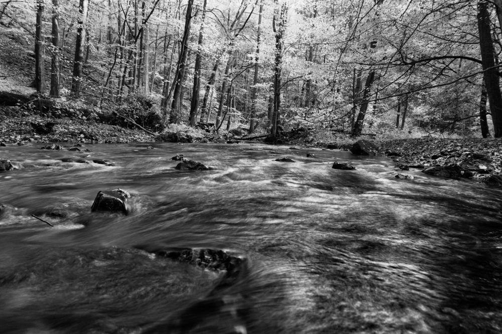 Photograph by Jiří Niš