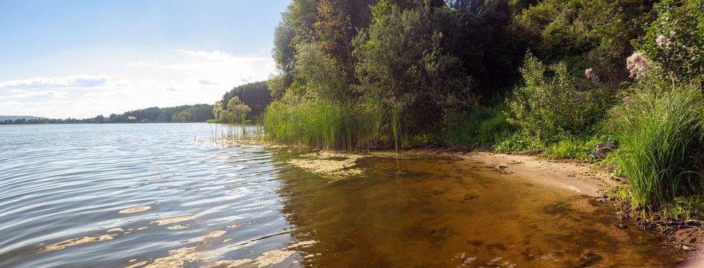 Левый берег Волги пос Обсерватория