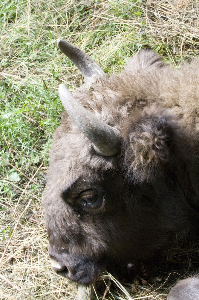 Photograph by Ислам Хачиров