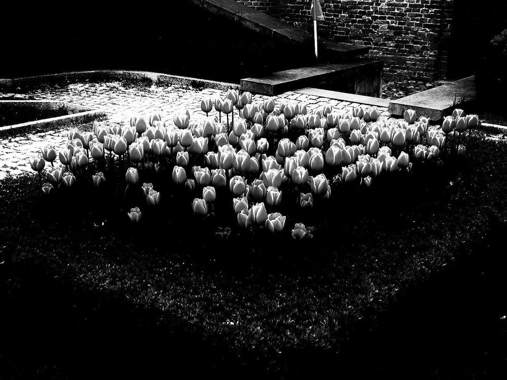 Photograph by Viktoriia Shtefanesa