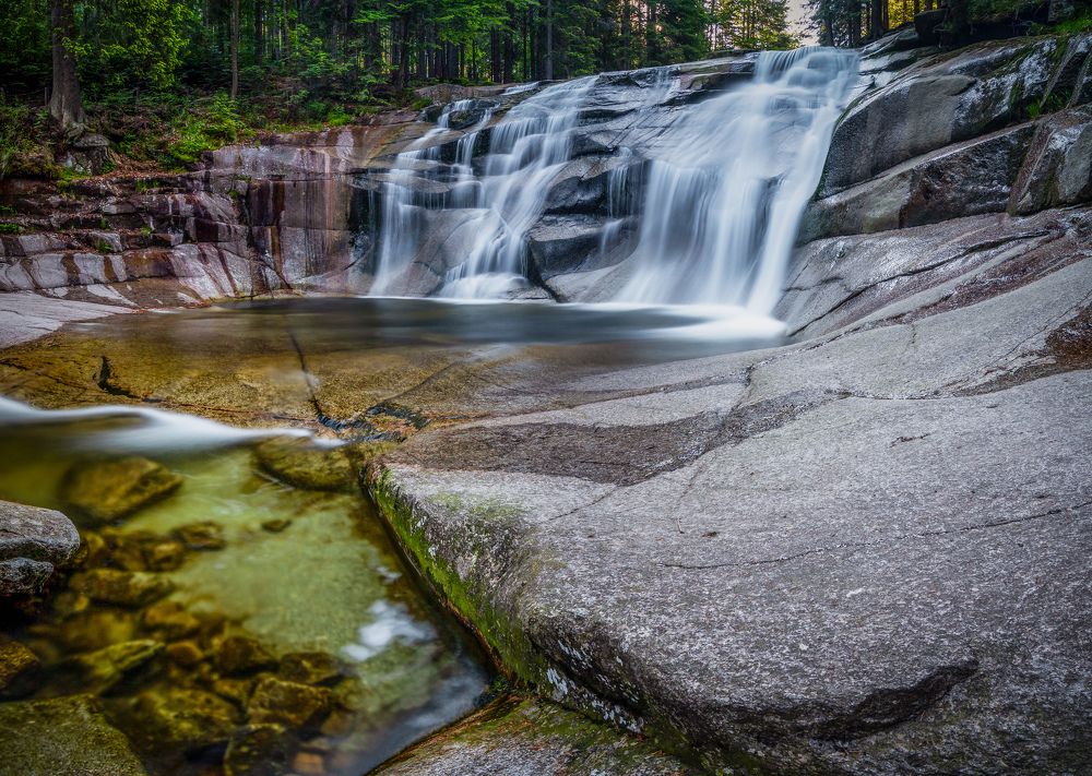 Photograph by Petr Musil